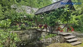 Seosko domacinstvo Lipova korita-Linden troughs - Image 3