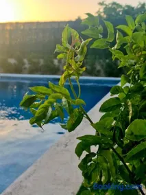 Luxury Villa with swiming pool next to Granada - Image 2