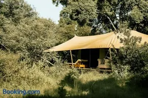 Ilora Retreats - Image 2