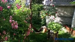 Belivanovi B&B House - Image 2