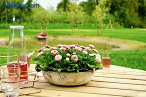 Op 't Platteland - Image 2