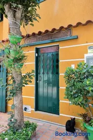 CANTO DA ARVORE 1 - Image 1