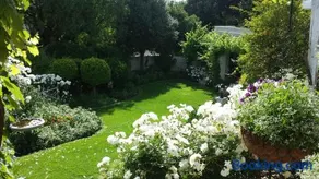 Three Oaks - Image 2