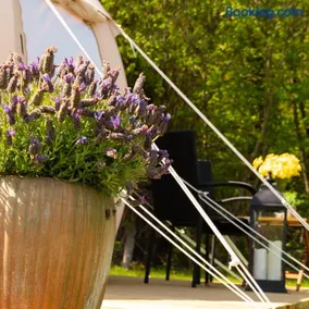 Fyn Glamping - Image 3