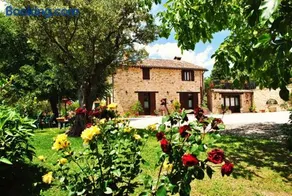 Agriturismo L'Antico Oliveto - Image 3
