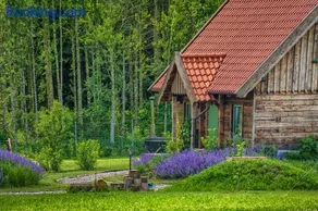 Zielone Ławki - Image 1