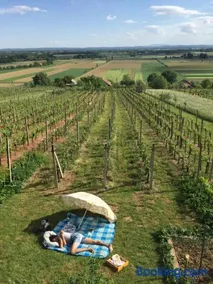 Vineyard Living - Image 1