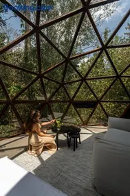 Glass House - Image 4