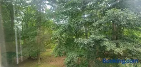 Cottage in the Woods - Image 3