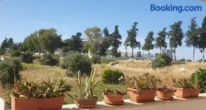 Σιγά Σιγά Πολης Sigá Sigá Polis - Image 4