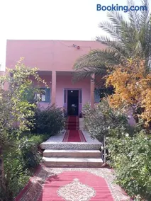 Oasispalmares - Image 1