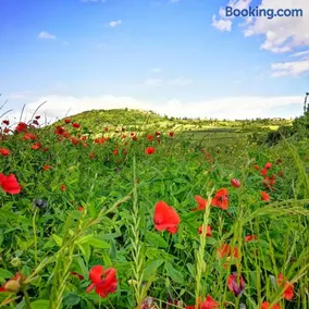 Agriturismo Casalpiano - Image 2