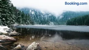 Arber Resort & Wellness Šumava - Image 2