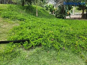 Fazenda Ecovale - Image 5