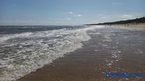 Agua Corazones - Image 4