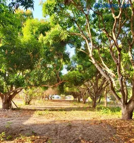 Casa Kite - Image 4