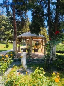 Hotel Corina - Image 1