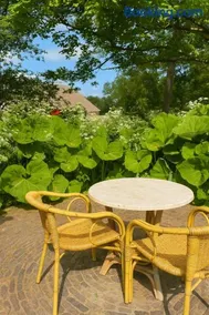 B&B Stinzenflora - Knus verblijf in de Friese natuur en op een landgoed - Image 3