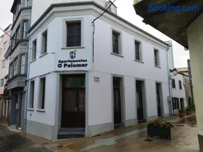 Paloma blanca - Image 5