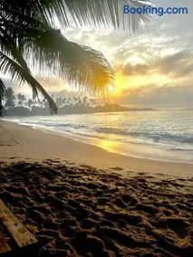 Coconut Palm beach restaurant and rooms - Image 1