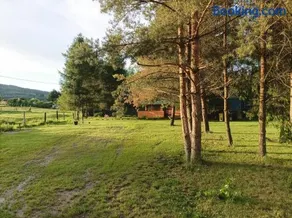 Zielona Polana - Image 4