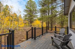 Forest Cabin Retreat Overlooking a Meadow Pond - Image 1