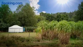 Yurt in Devon - Image 2