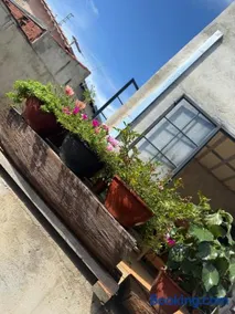 Sol do amanhacer - Image 2