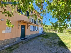 Murva - Image 2