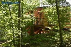La cabane aux écureuils - Image 1
