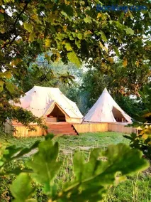 Cowcooning / Family tents - Image 2