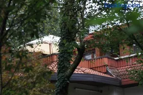 App Carolina - Image 3