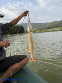 Shaori Lake Cottages - Image 2