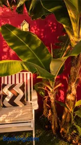 MARRAKECH פלא - PELEH - Queit place 3 km from the beach of Cesarea - Image 5
