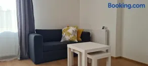 TOP 06 - Image 4