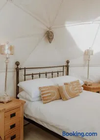 Star Gazing Dome 1 with cozy log burner - Image 3