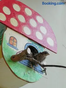 Sole Sica - Image 4