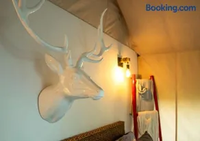 Glamping Bellavista - Escapada Romántica en el Lago Calima - Image 5