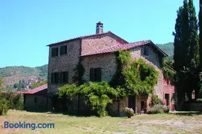 Olivo - Image 1