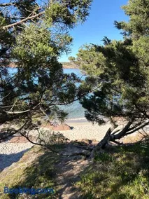 Il gelsomino - Image 2