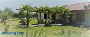 Conectar con la naturaleza te hará más feliz - Image 1