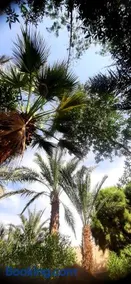 Nour El Gourna - Image 2