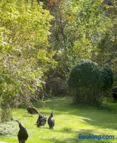 Licensed-8 Acre Estate, Trail & Stream with 3 Beds - Image 2