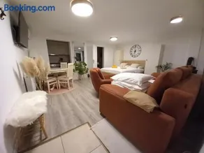 Studio apartman Singer - Image 3