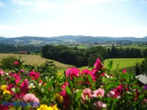 Ferienwohnung Gartenblick - Image 4