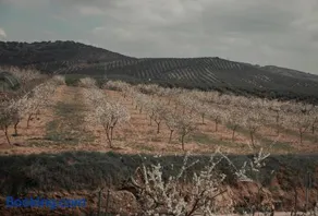 El Carmen - Image 2