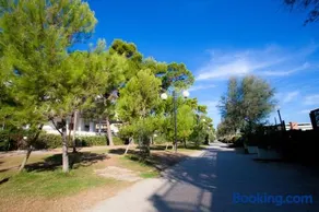 Apartments Pinetina - Image 1