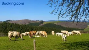 Urlaub mit Hund auf dem Bauernhof Hofswald - Image 3