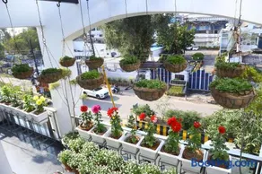 joerose villa - Image 4