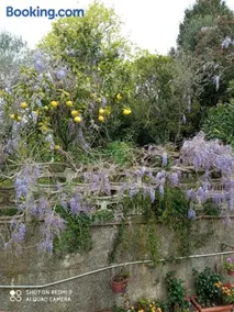 Belvedere di Caiazzo - Image 2